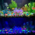 20Pcs 14mm Artificial Luminous Night Stones Pebble Glow In The Dark Pebbles Glow Gravels For Garden Yard Walkway Decor. 