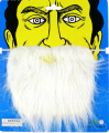 Kids Mustache and Beard. 