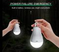 Smart Rechargeable Light Bulb Ac Dc|Emergency  for Power Outage|Camping Outdoor Activity|20W Lithium battery. 