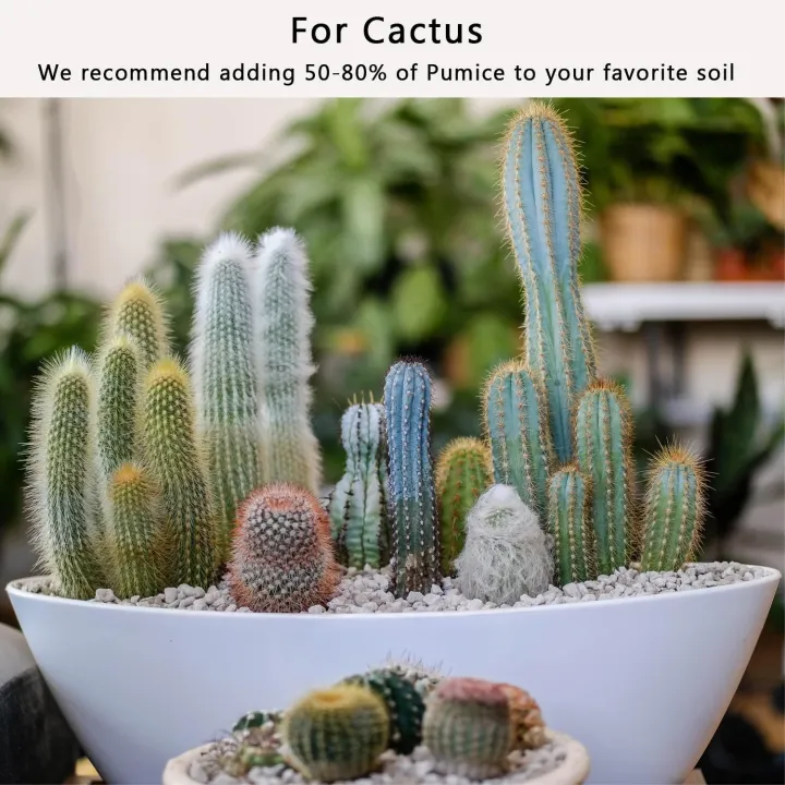 Pumice%20stone%202mm-6mm%20washed%20for%20cactus%20-%20Succulent%20-%20Bonsai%20and%20Plants%20Soil%20Mix%20-%20Image%208