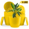 Enhance Your Space with Fast Forward Extra Large Plant Pots – Perfect Home Decor for Indoor and Outdoor Planters with Drainage - Explore Multi-Packs of Plastic Planters for Cactus and Succulents in Six Vibrant Colors. 
