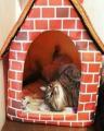 Soft-Sided Brick Pet House & Mat. 