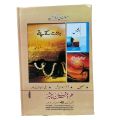 Sans Sakin Thi by Nimra Ahmad Novel. 