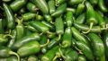 Hybrid Jalapeno Green Chili / Chilli (Sabaz Mirch) Vegetable Seeds For Kitchen Gardening. 