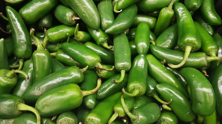 Hybrid%20Jalapeno%20Green%20Chili%20/%20Chilli%20(Sabaz%20Mirch)%20Vegetable%20Seeds%20For%20Kitchen%20Gardening%20-%20Image%204