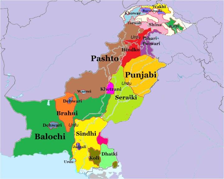 Languages oF Pakistan Panaflex Poster Educational Chart School Office Decoration