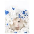 【COD Hamster Paper Cotton Sawdust Bedding Cotton Compressed Paper Strip Bedding Golden Bear Hedgehog Pet Water Absorption and Deodorization. 