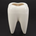 Tooth Shape White Ceramic Flower Pot Modern Design Planter Teeth Model Mini Desktop Pot Creative Gift(without plants). 