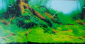 PVC Double Side Aquarium Background size 1.5x4 feet Poster Decoration Fish Tank Wall Lanscaping Decorative Background Poster. 