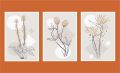 Bareeh- Set of 3, Abstract Artwork, decent flower design, Modern European painting, Wall Frames,  Home Decor, Office Decor, Wall Art Frames for living room/drawing room/ bedroom. 