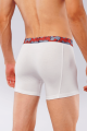 Whirlpool Boxer Brief. 