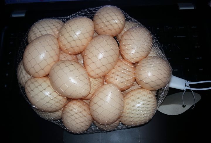 10 Pcs -  Artificial Plastic Egg Shell (Basic Learning Egg for Kids) Artificial Eggs - Hollow Egg Shell