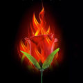 Professional Magician Bar Illusion Props Torch To Rose Flower Fire Magic Trick Flame Appearing Flower. 