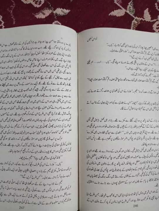 UDAAS%20NASLAIN%20BOOK%20BY%20ABDULLAH%20HUSSAIN%20URDU%20BEST%20SELLING%20BOOK%20-%20Image%204