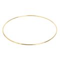 16Pcs 8 Inches Dream Catcher Rings Metal Hoops Macrame Ring for Crafts and Dream Catcher Supplies,. 