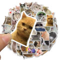50PCS Cat MEME Funny Animals Stickers Vintage Toy DIY Kids Notebook Luggage Motorcycle Laptop Refrigerator Decals Graffiti. 