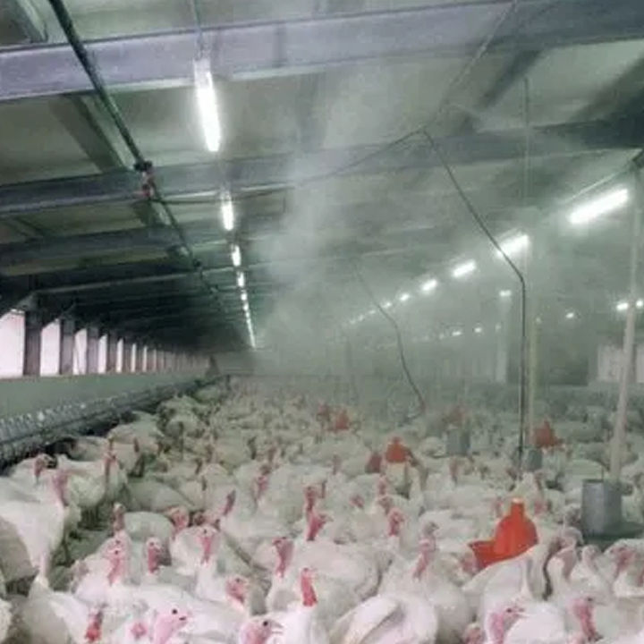 Mist%20System%20for%20Dairy%20Farm,%20Poultry%20Farm,%20Restaurant%20or%20Home%20Mist%20Humidity%20Control%20System,%20Bird%20Misting%20System%20Double%20Pump%20Plastic%20Nozzle%20-%20Image%205