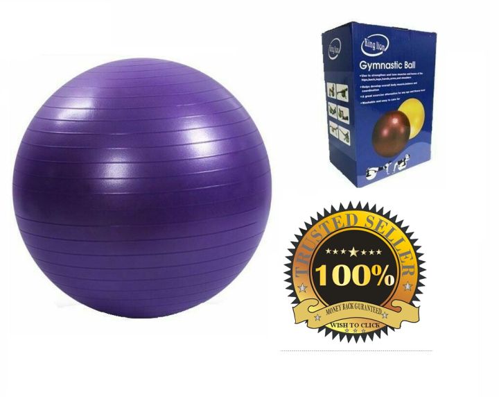 King%20Lion%20Gymnastic%20Ball%20Fitness%20Exercise%20Ball%20And%20Yoga%20Ball%20(Diameter:75cm)%20-%20Image%202