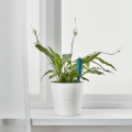 Plant Watering Sensor Ikea. 
