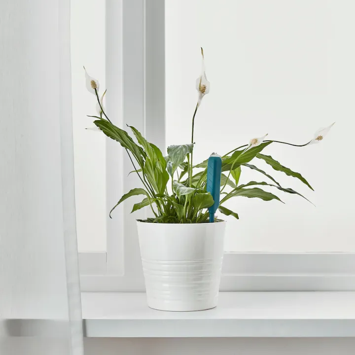 Plant%20Watering%20Sensor%20Ikea%20-%20Image%207