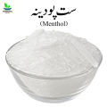 Menthol 100gm ست پودینہ - Sat Podina - Peppermint Extract - 100% Original, Fresh and Pure Sut Podeena / Pudina Crystal 100 grams by Herbisol. 
