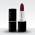 Christine Princess Lipstick - Shade 120. 
