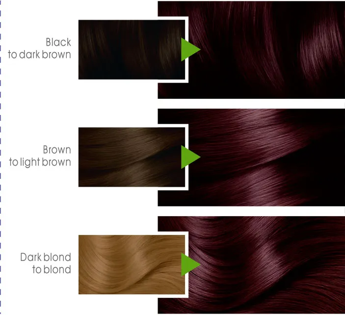Garnier%20Color%20Naturals%20-%203.6%20Deep%20Red%20Brown%20Hair%20Color%20-%20Image%208