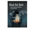 Black Hat Bash Bash Scripting for Hackers and Pentesters (Early Access) by Dolev Farhi, Nick Aleks. 