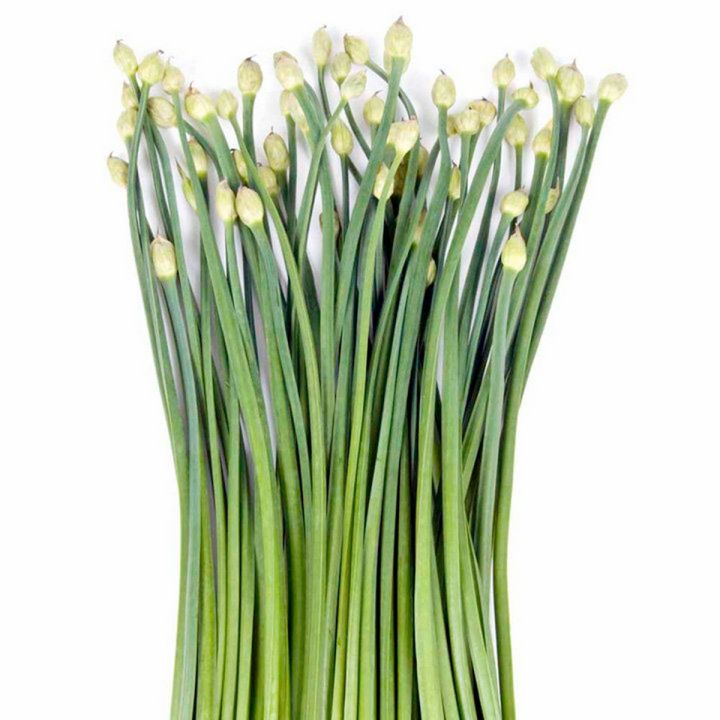 Garlic%20Chives%20Seeds%20Home%20Kitchen%20Gardening%20Vegetable%20Seeds%20-%20Image%205