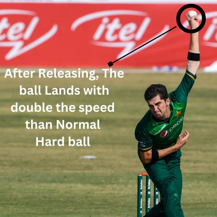 Training%20Cricket%20Hard%20ball/Double%20weighted%20Hard%20ball/Practice%20Hardball/Net%20session%20Hardball%20-%20Image%203