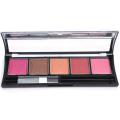 ADS 5 in 1 Fashion Blusher Palette Kit. 