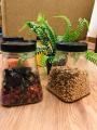 PYRAMID JAR FOR KITCHEN STORAGE - 12 PCS PYRAMID SHAPE FOR DAAL ACHAR SALT SUGAR CANDIES etc. 