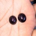 Original Elegant Star Ruby Black Real (star Yaqoot) 20.5 crt Gem Stone (nag) For Ring Pendant. 