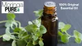 OREGANO ESSENTIAL OIL PAKISTAN. 