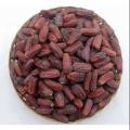 - Saudi mobroom Dates ORIGINAL 500 Grams.. 