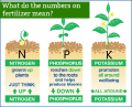 NPK 5 15 45 /  Hydroponics Fertilizer (100 gram). 