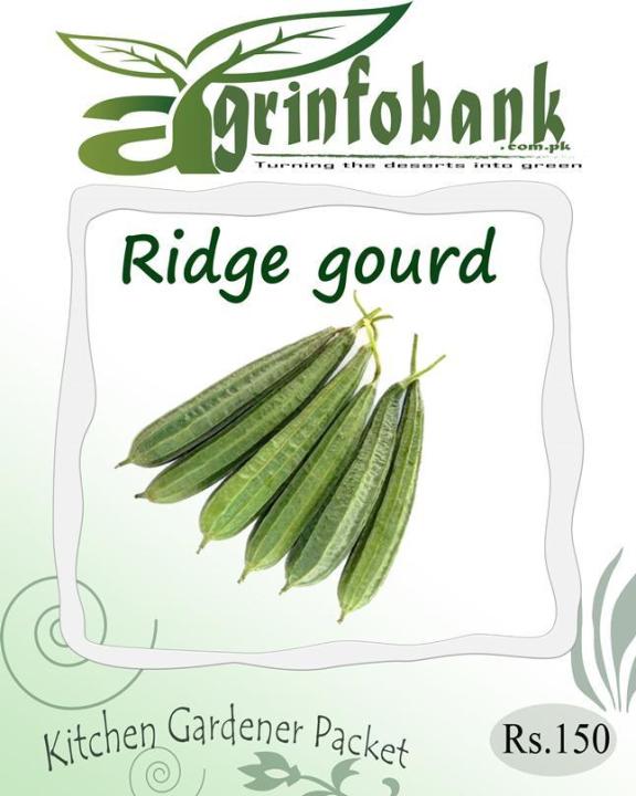 Ridge gourd seeds for kitchen gardeners