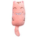 Cat Toy Elastic Soft Catnip Kitten Biting Teeth Toy for Cats. 