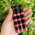 4 In 1 Long Lasting Velvet Matte Lip Gloss Waterproof , 4 in 1 Liquid Lip Gloss Matte Lip Gloss set Lipgloss. 