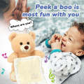 Peek a Boo Bear KABY. 