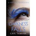 Darkness Falls: Immortal Beloved Series (Book 2) By cate tiernan. 