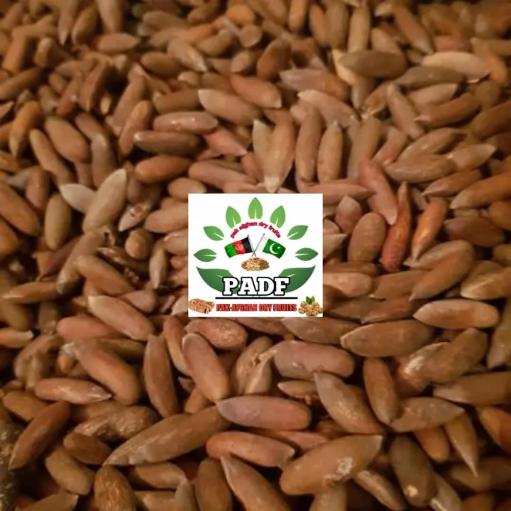 Black%20Chilgoza%20(pine%20Nut)%201kg%20-%20Image%203