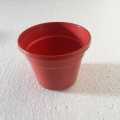 Small red planter pot, best for seedling with cocopeat, Mini Plastic Flower Pot Planters for Succulents and cactus. 