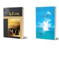 Aab e hayat Novel By Umera Ahmed / Umaira Ahmad / Umaira Ahmed / / Jannat Kay Pattay by Nimra Ahmed (set of 2). 