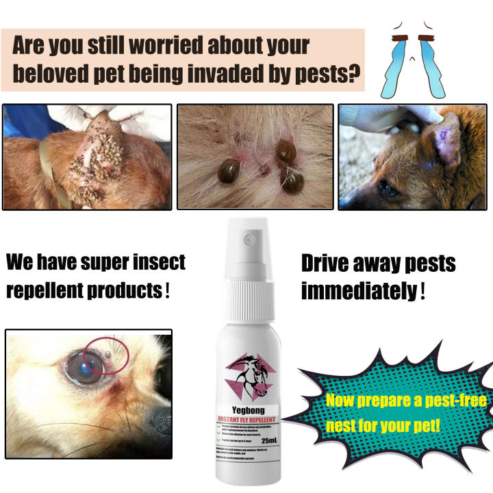 Picture of 〓Highest Level〓COD〓Yegbong Pet Insecticide Dog and Cat Flea Repellent ...