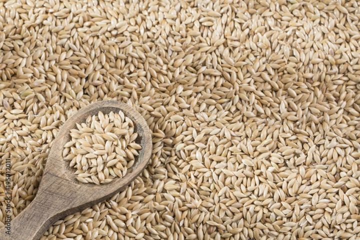 Canary Seed for Bird Food, Dry & Clean Seed for All Life Stages, Hand Picked Seed, Benefits of Feather & Long Tail, Egg Hatching, Growth of Babies, Stronger Bones - 1 KG