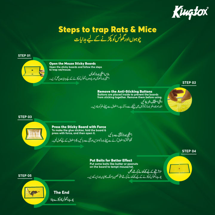 Kingtox%20Rat%20Killing%20Glue%20Trap%20-%20Image%203