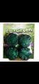 Lu Green Toilet Cleaner Freshener Tablet In-Cistern Toilet Blocks Prevent LimeScale for Bathroom, Kitchen Cleaning and Foaming Action. 