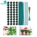 Green Home Flower Sticks No Peculiar Smell Bamboo Stick Support Piles. 