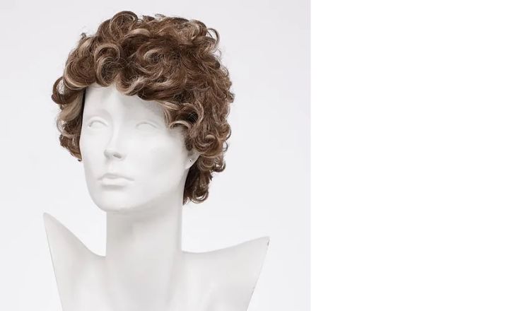 Men's Curly Wig Short Brown Wig High quality Fluffy Soft Synthetic Natural Costume Hair Wigs for Male Boy